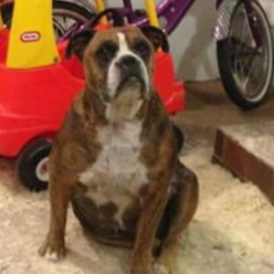 Meet your Posher, Jean